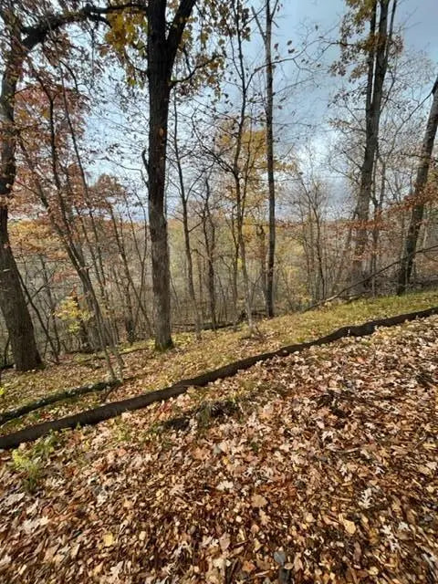 Lot 4 Tiger Street, Princeton, MN 55371
