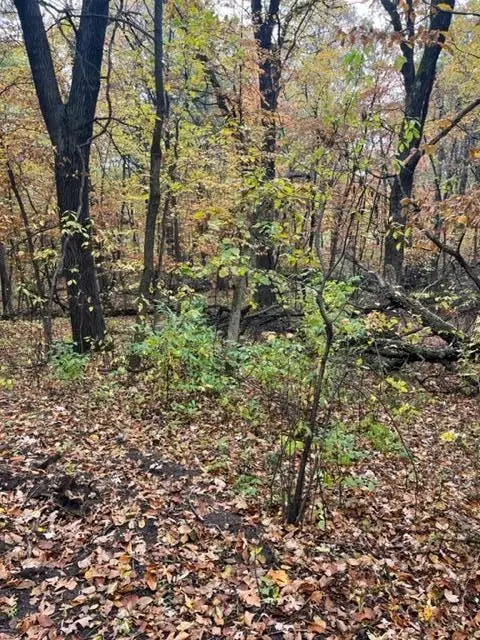 Lot 4 Tiger Street, Princeton, MN 55371