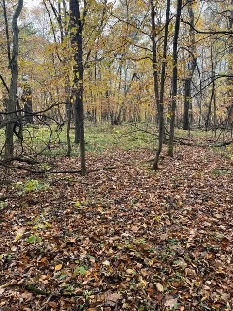 Lot 4 Tiger Street, Princeton, MN 55371