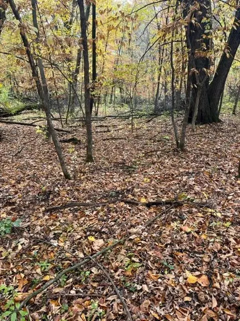 Lot 4 Tiger Street, Princeton, MN 55371