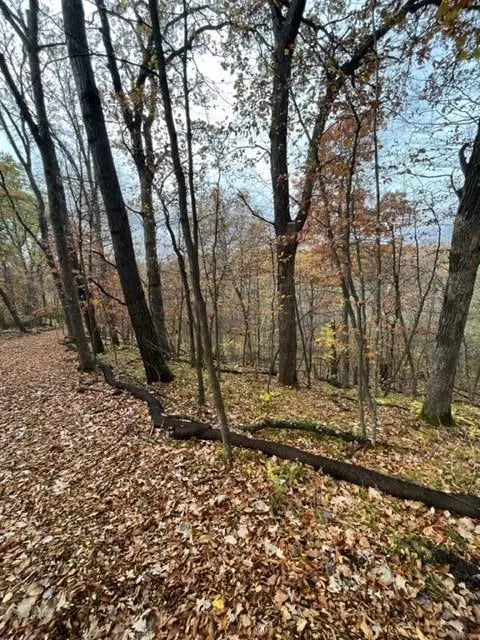 Lot 4 Tiger Street, Princeton, MN 55371