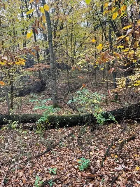 Lot 4 Tiger Street, Princeton, MN 55371