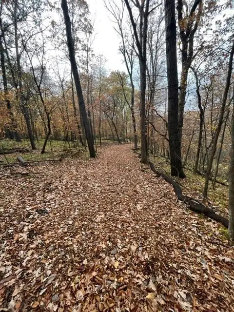 Lot 4 Tiger Street, Princeton, MN 55371