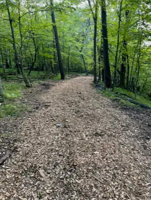 Lot 4 Tiger Street, Princeton, MN 55371