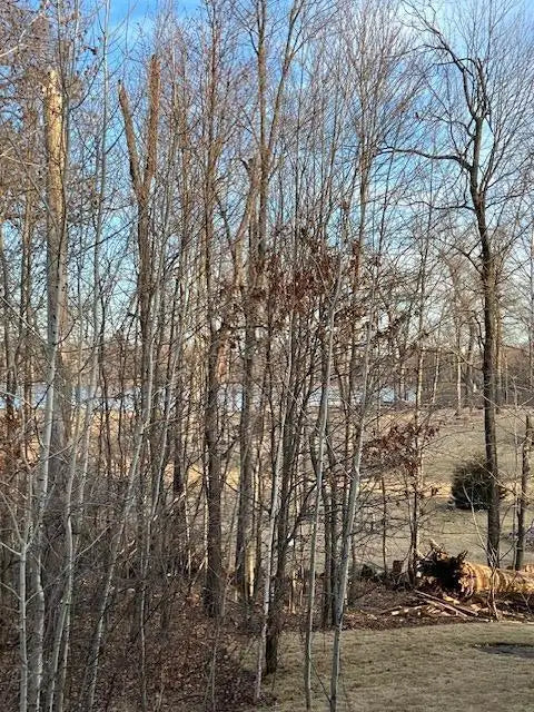 575 Elins Lake Road, Cambridge, MN 55008