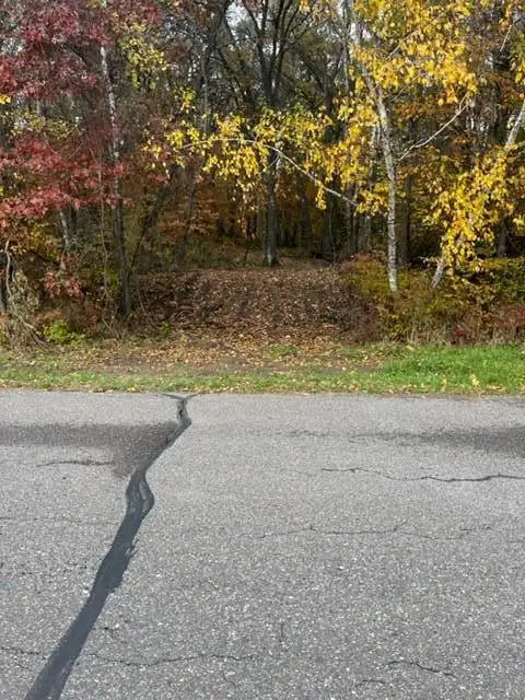 Lot 4 Tiger Street, Princeton, MN 55371