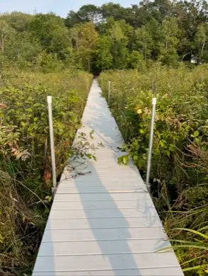 Lot 4 Tiger Street, Princeton, MN 55371