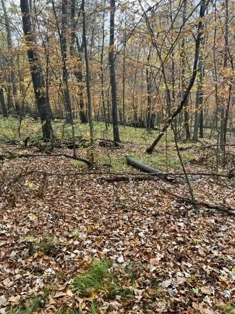 Lot 4 Tiger Street, Princeton, MN 55371