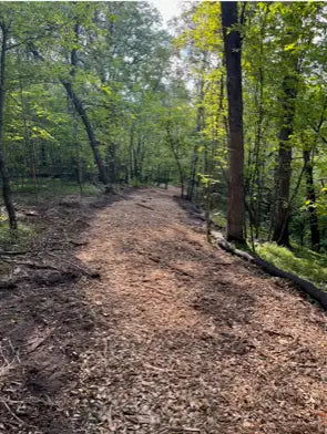 Lot 4 Tiger Street, Princeton, MN 55371