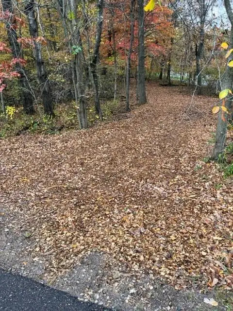 Lot 4 Tiger Street, Princeton, MN 55371