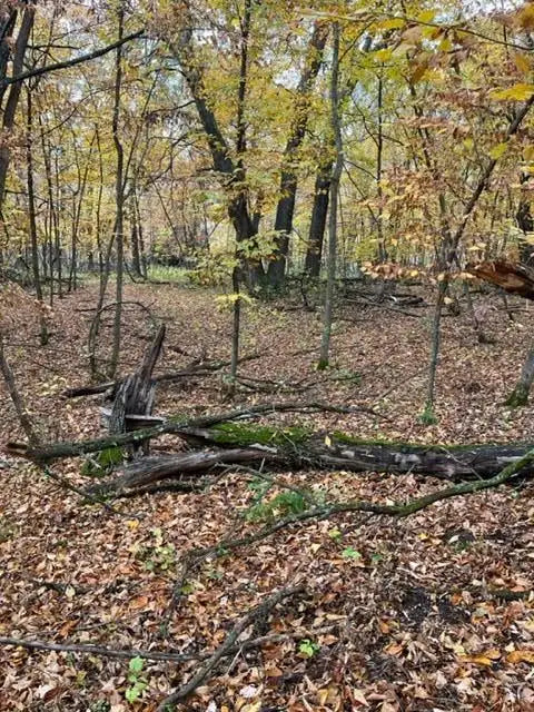 Lot 4 Tiger Street, Princeton, MN 55371